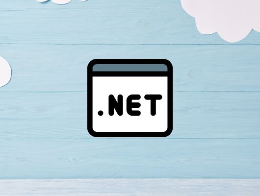 net domain